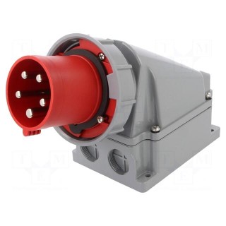 Connector: AC supply 3-phase | socket | male | 63A | 400VAC | IEC 60309