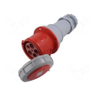 Connector: AC supply | plug | female | 125A | IEC 60309 | IP67 | PIN: 5