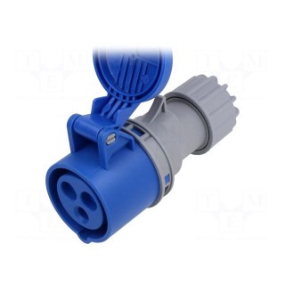 Connector: AC supply | plug | female | 16A | IEC 60309 | IP44 | PIN: 3