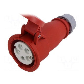 Connector: AC supply | plug | female | 16A | IEC 60309 | IP44 | PIN: 5