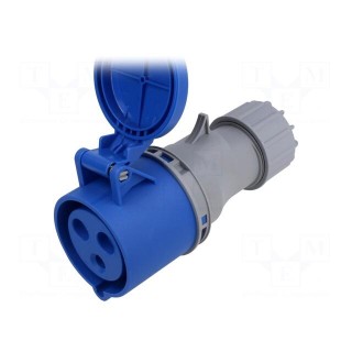 Connector: AC supply | plug | female | 32A | IEC 60309 | IP44 | PIN: 3