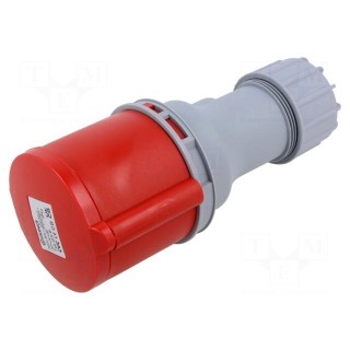 Connector: AC supply | plug | female | 32A | IEC 60309 | IP44 | PIN: 5