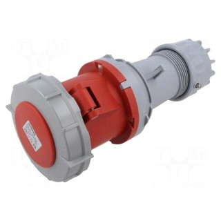 Connector: AC supply | plug | female | 63A | IEC 60309 | IP67 | PIN: 5