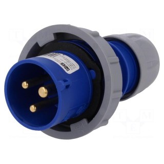 Connector: AC supply | plug | male | 16A | 230VAC | IEC 60309 | IP67