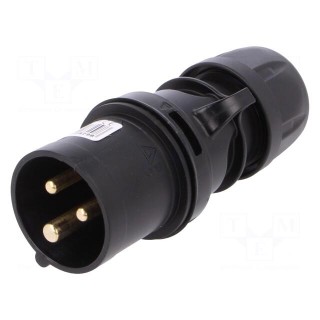 Connector: AC supply | plug | male | 16A | 230VAC | IP44 | Layout: 2P+PE
