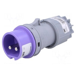 Connector: AC supply | plug | male | 16A | 24VAC | IP44 | for cable | PIN: 2