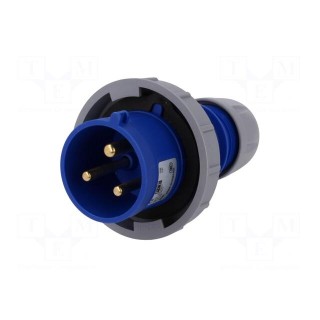 Connector: AC supply | plug | male | 32A | 230VAC | IEC 60309 | IP67