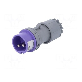 Connector: AC supply | plug | male | 32A | 24VAC | IEC 60309 | IP44 | PIN: 2