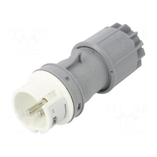 Connector: AC supply | plug | male | 32A | 42VAC | IEC 60309 | IP44 | PIN: 2