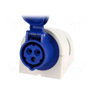 Connector: AC supply | socket | female | 16A | 230VAC | IEC 60309 | IP44