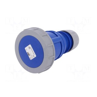 Connector: AC supply | socket | female | 32A | 230VAC | IEC 60309 | IP67