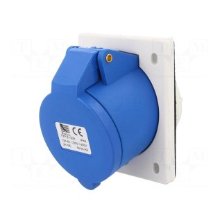 Connector: AC supply | socket | female | 32A | 400VAC | IEC 60309 | IP44
