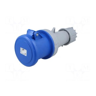 Connector: AC supply | socket | female | 63A | 230VAC | IEC 60309 | IP44
