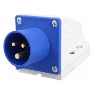 Connector: AC supply | socket | male | 16A | 230VAC | IEC 60309 | IP44
