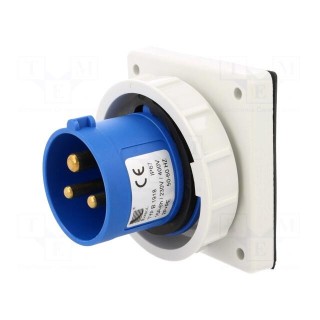 Connector: AC supply | socket | male | 16A | 400VAC | IEC 60309 | IP67