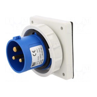 Connector: AC supply | socket | male | 16A | 400VAC | IEC 60309 | IP67