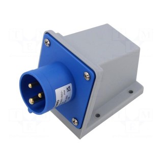 Connector: AC supply | socket | male | 16A | IEC 60309 | IP44 | PIN: 3