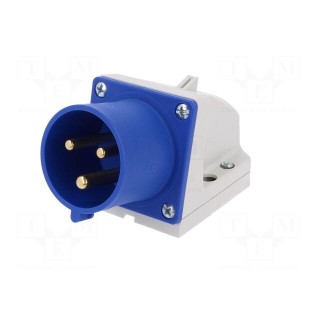 Connector: AC supply | socket | male | 32A | 230VAC | IEC 60309 | IP44