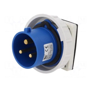 Connector: AC supply | socket | male | 32A | 400VAC | IEC 60309 | IP67