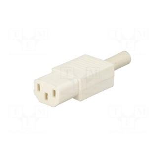Connector: AC supply | plug | female | 10A | 250VAC | IEC 60320 | C13 (F)