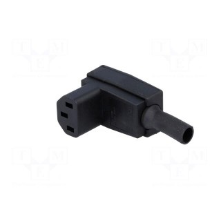 Connector: AC supply | plug | female | 10A | 250VAC | IEC 60320 | C13 (F)