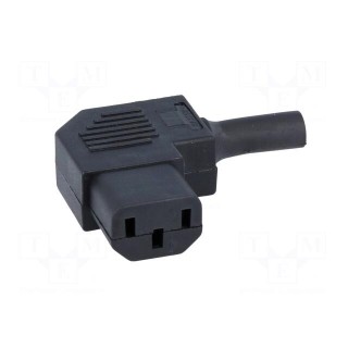 Connector: AC supply | plug | female | 10A | 250VAC | IEC 60320 | C13 (F)