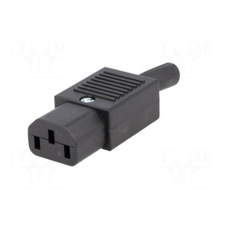 Connector: AC supply | plug | female | 10A | 250VAC | IEC 60320 | C13 (F)