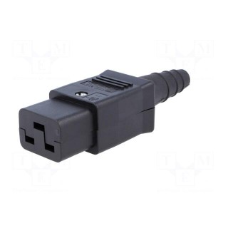 Connector: AC supply | plug | female | 16A | 250VAC | IEC 60320 | C19 (J)