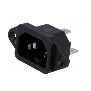 Connector: AC supply | socket | male | 10A | 250VAC | IEC 60320 | 6061