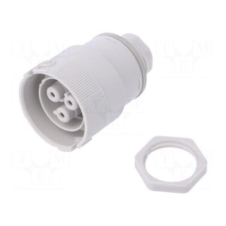 Connector: AC supply | push-in | female | 0.5÷2.5mm2 | 16A | 250V | IP68