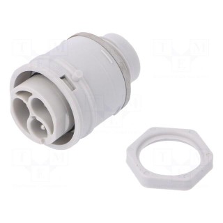 Connector: AC supply | push-in | male | 0.5÷2.5mm2 | 16A | 250V | ways: 3