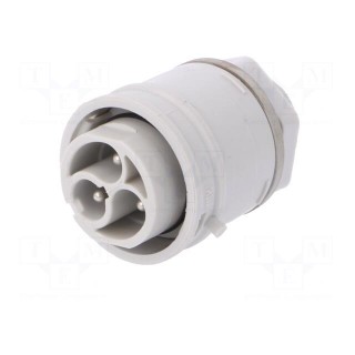 Connector: AC supply | push-in | male | 0.5÷2.5mm2 | 16A | 250V | ways: 3