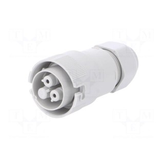 Connector: AC supply | screw terminal | female | 9÷12mm | 1÷2.5mm2
