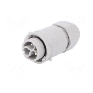 Connector: AC supply | screw terminal | male | 9÷12mm | 1÷2.5mm2 | 16A