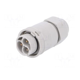 Connector: AC supply | screw terminal | male | 9÷12mm | 1÷2.5mm2 | 16A