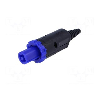 Plug | circular | CLIFFCON | PIN: 4 | grounding contact | for cable