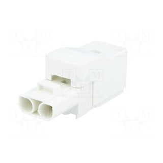 Connector: pluggable terminal block | screw terminal | female