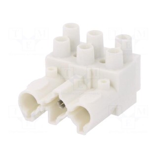 Connector: pluggable terminal block | screw terminal | female