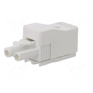 Connector: pluggable terminal block | screw terminal | male | 16A