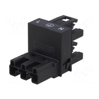 Transition: T adapter | male,female x2 | 770,WINSTA | 25A | 250V | Y