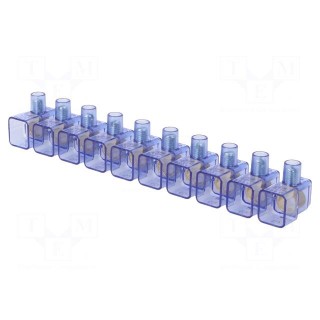 Terminal block | screw terminal | 10mm2 | 450V | ways: 10 | for cable