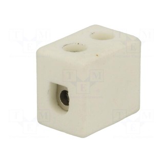 Terminal block | screw terminal | 4mm2 | 450V | 32A | ways: 1 | for cable