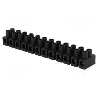 Terminal block | screw terminal | 6mm2 | 400V | 41A | ways: 12 | black