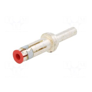 Contact | female | silver plated | 10mm2 | 8AWG | power contact | EBC80