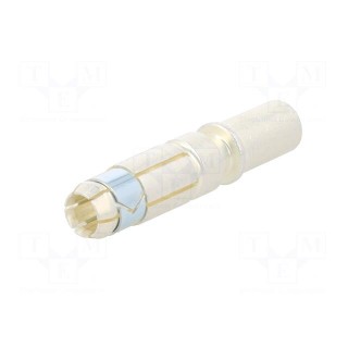 Contact | female | silver plated | 35mm2 | 2AWG | power contact | EBC160