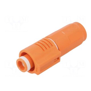 DC supply | SurLok Plus | PIN: 1 | orange | UL94V-0 | 1kV