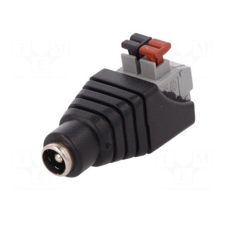 Transition: adapter | 5,5/2,1mm | 5.5mm | 2.1mm | spring clamp