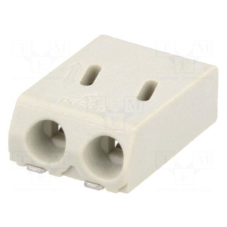 Connector: plug-in | DG2002 | 4mm | ways: 2 | 24AWG÷18AWG | 0.2÷0.75mm2