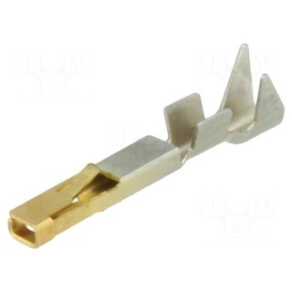 Contact | female | gold-plated | 22AWG÷20AWG | SSL 1.2 | crimped | 5A