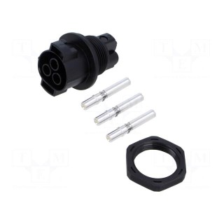 Connector: AC supply | female | 6mm2 | screw terminal | socket | 50A